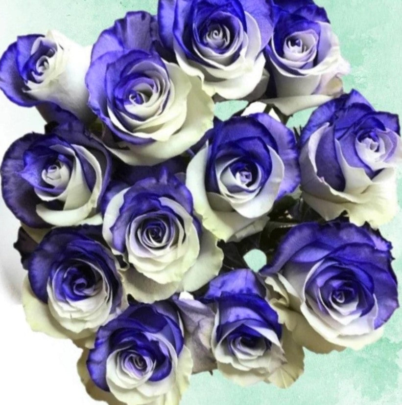 100 Red roses bouquet – Purple Violet