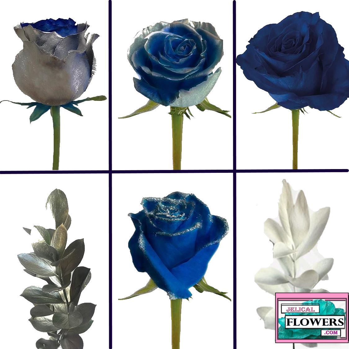 different types of blue roses