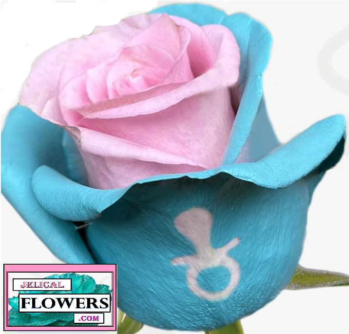 Single Light Blue Rose